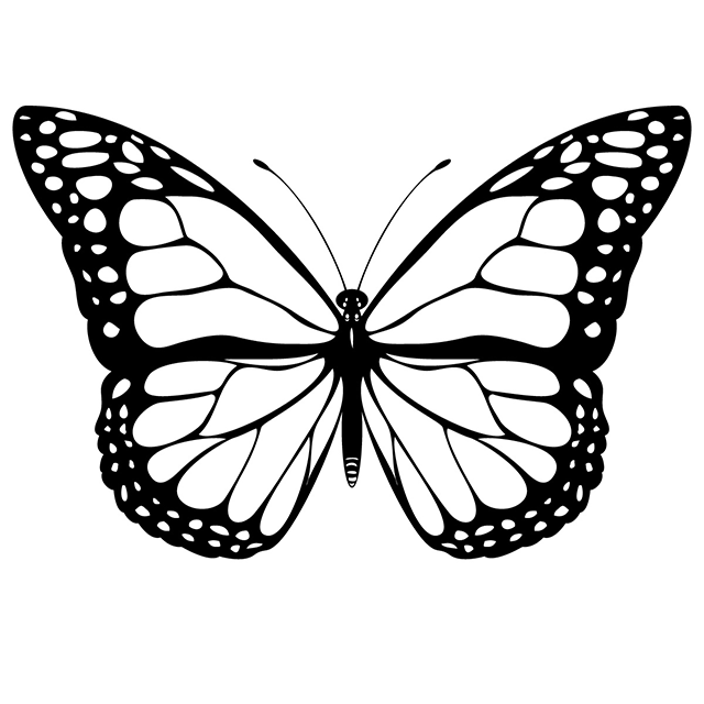 monarch-butterfly-640px.png